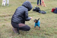 LoveMyDog Training Kutyaiskola kirándulás kép