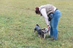 LoveMyDog Training Kutyaiskola kirándulás kép