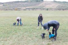 LoveMyDog Training Kutyaiskola kirándulás kép