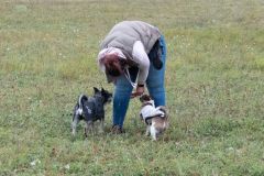 LoveMyDog Training Kutyaiskola kirándulás kép