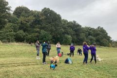 LoveMyDog Training Kutyaiskola kirándulás kép