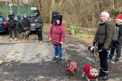 LoveMyDog Training Kutyaiskola kirándulás kép