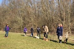 LoveMyDog Training Kutyaiskola kirándulás kép