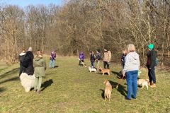 LoveMyDog Training Kutyaiskola kirándulás kép