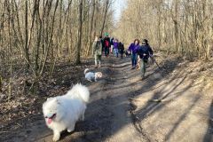 LoveMyDog Training Kutyaiskola kirándulás kép