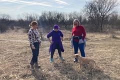 LoveMyDog Training Kutyaiskola kirándulás kép