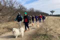 LoveMyDog Training Kutyaiskola kirándulás kép