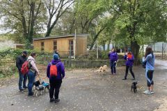 LoveMyDog Training Kutyaiskola kirándulás kép