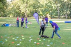 LoveMyDog Training kutyaiskola piknik kép