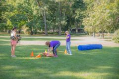 LoveMyDog Training kutyaiskola piknik kép