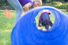 LoveMyDog Training kutyaiskola piknik kép