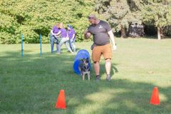 LoveMyDog Training kutyaiskola piknik kép