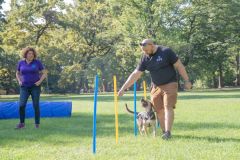 LoveMyDog Training kutyaiskola piknik kép