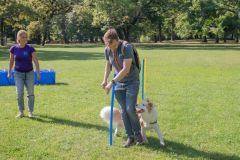 LoveMyDog Training kutyaiskola piknik kép