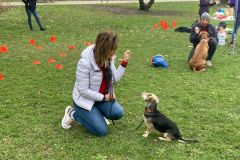 LoveMyDog Training kutyaiskola piknik kép