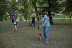 LoveMyDog Training Kutyaiskola tanfolyam kép