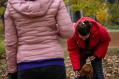 LoveMyDog Training Kutyaiskola trükk tanfolyam kép