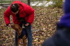 LoveMyDog Training Kutyaiskola trükk tanfolyam kép