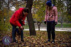 LoveMyDog Training Kutyaiskola trükk tanfolyam kép