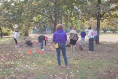 LoveMyDog Training Kutyaiskola tanfolyam kép