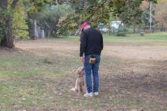 LoveMyDog Training Kutyaiskola tanfolyam kép