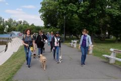 LoveMyDog Training Kutyaiskola Workshop kép