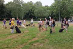 LoveMyDog Training Kutyaiskola Szocializációs séta