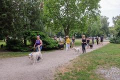 LoveMyDog Training Kutyaiskola Szocializációs séta