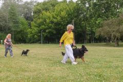 LoveMyDog Training Kutyaiskola Szocializációs séta