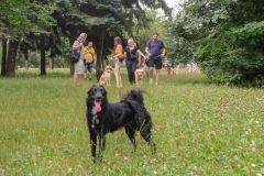 LoveMyDog Training Kutyaiskola Szocializációs séta