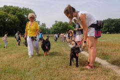 LoveMyDog Training Kutyaiskola Szocializációs séta