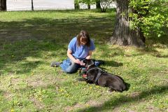 LoveMyDog Training Kutyaiskola Workshop kép