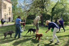 LoveMyDog Training Kutyaiskola Workshop kép