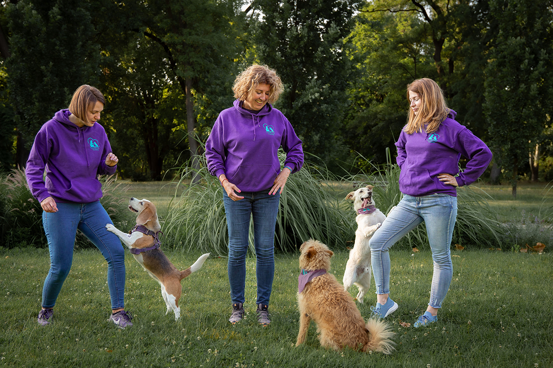 LoveMyDog Training Kutyaiskola Budapest csapatkép