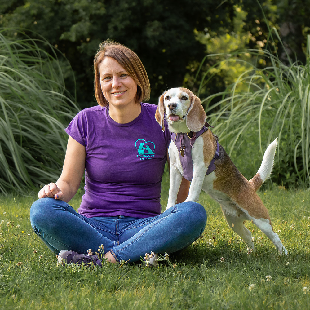 LoveMyDog Training Kutyaiskola Budapest Kata